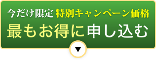 今だけ限定特別キャンペーン価格最もお得に申し込む